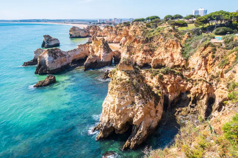 Faro